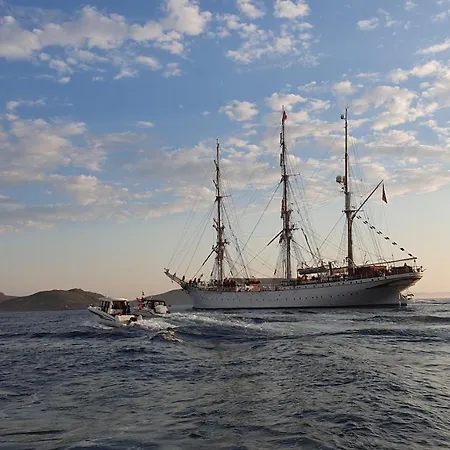 Gul Hus , Havøysund