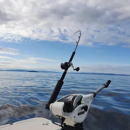 Gul Hus , * Havøysund
